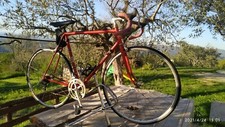 Bici da corsa bianchi vintage