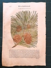 MATTIOLI MATTHIOLI Erbario a