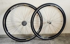 Cerchi bici corsa Ambrosio 28