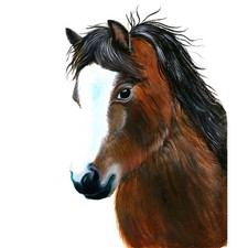 Quadro Acquerello A5 Gallese