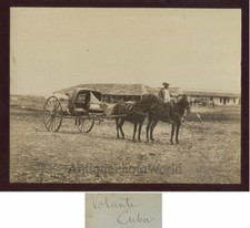 Volante Carrozza Autista Con