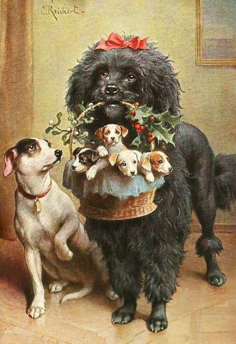 Poodle with christmas - poodle, basket