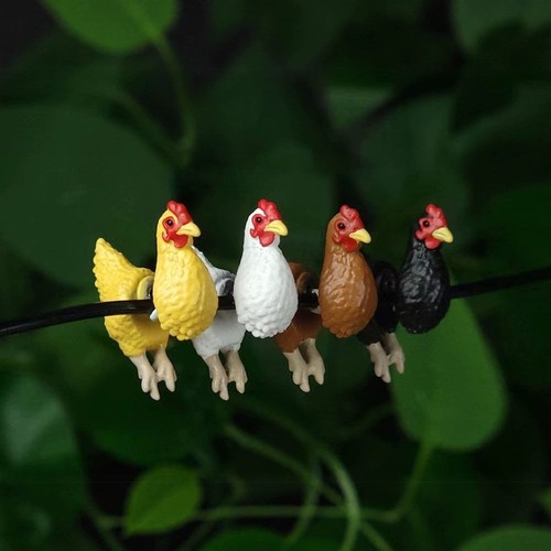 Orecchini pollo eleganti - orecchini, di