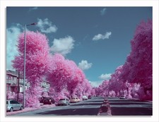 Fotocamera Mirrorless M43