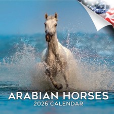 CAVALLI ARABI calendario da parete 2026 animali animali domestici amante regalo cavallo sella equitazione