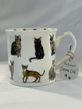 Curious Cats Fine China Mug ~