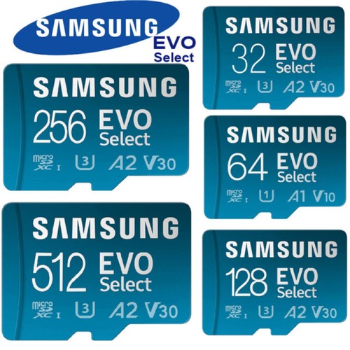 Scheda memoria 256 gb - memoria,