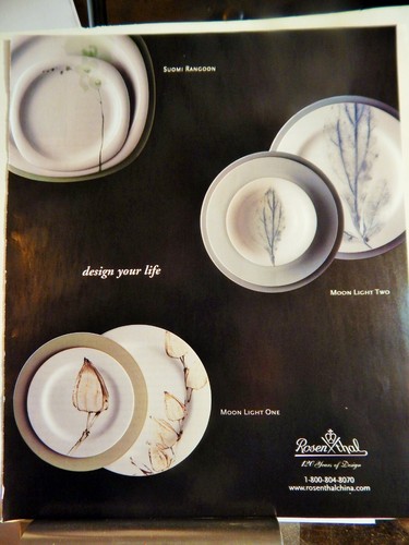 Rosenthal exquisite dinnerware - rosenthal,