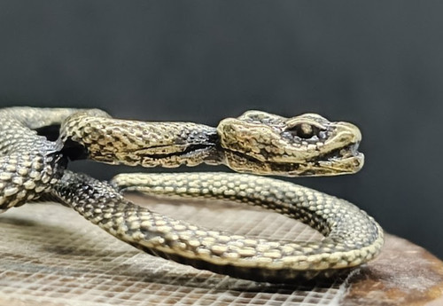 Serpente antico scultura - , in