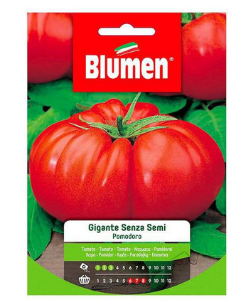 Blumen semi pomodoro - semi,