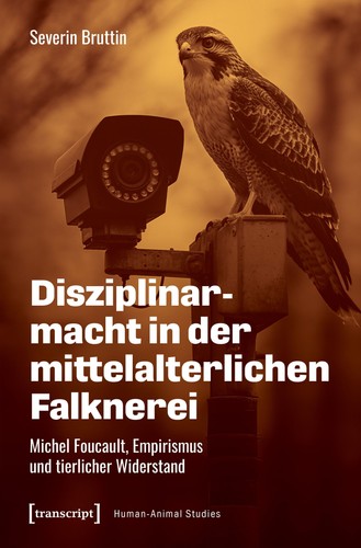 Disziplinarmacht der - disziplinarmacht, in