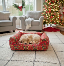 CUCCIA PER CANI INTERNO