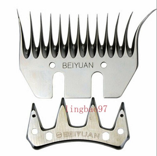Set pezzi denti beiyuan - pezzi,