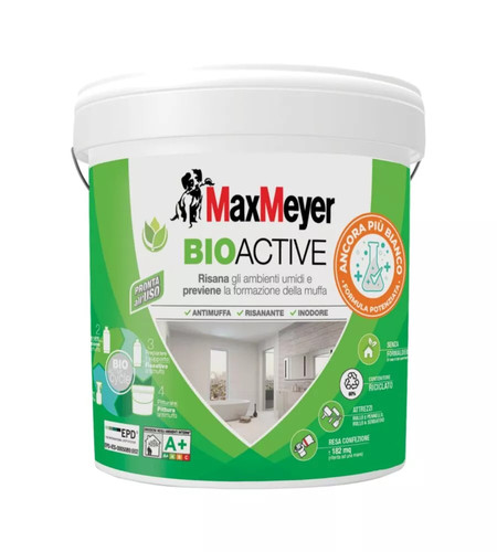 Pittura antimuffa max meyer - pittura,
