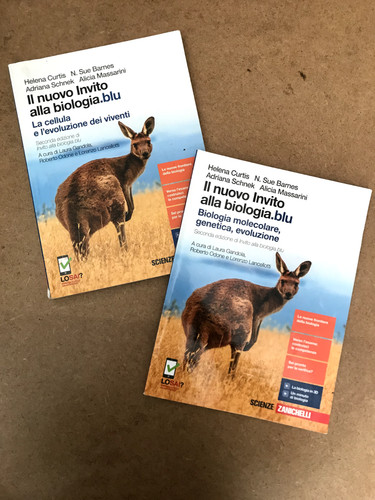 Nuovo invito alla - invito,