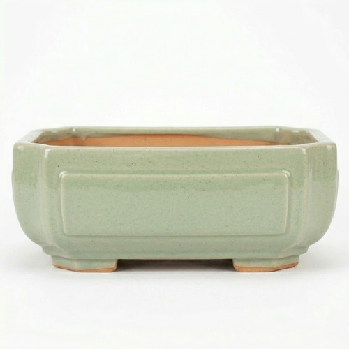 Vaso per bonsai ceramica