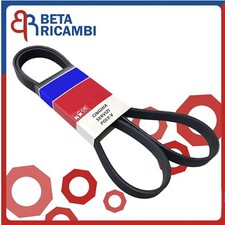 3PK668 Cinghia Servizi