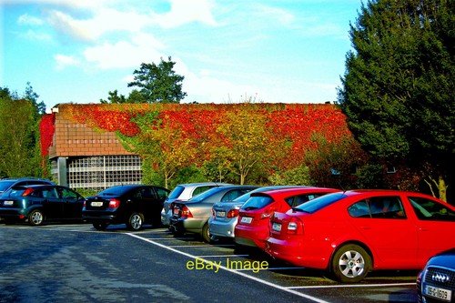 Photo 12x8 westport - westport,
