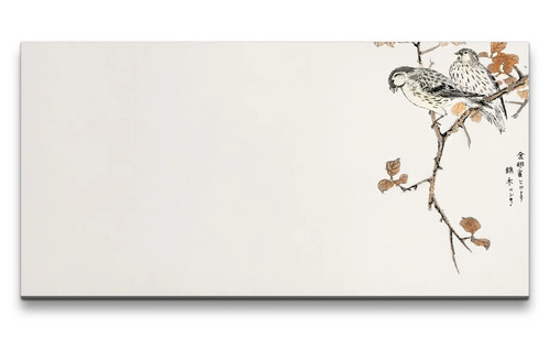 120x60cm remaster bellissima - remaster,