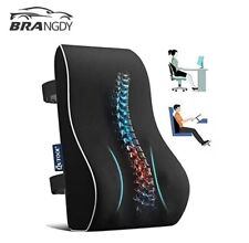 Cuscino Lombare Memory Foam per Auto, Casa e Ufficio Allevia Dolore alla Schiena