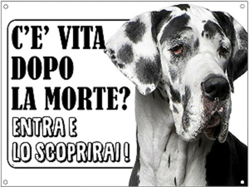 Targa cartello attenti - cartello, al