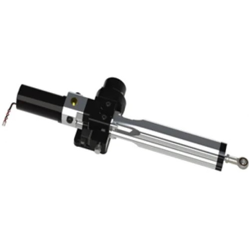 Raymarine tipo sterzo - tipo, 2