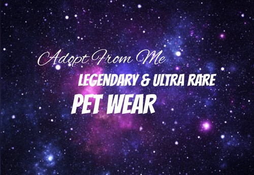 Trusted seller pet - pet, wear