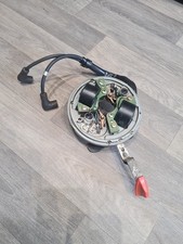 Bobine statore e punti