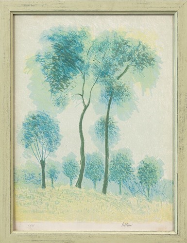 Umberto lilloni - umberto,