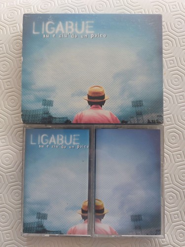 Ligabue giù un palco - e,