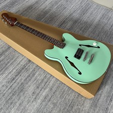 Chitarra elettrica jazz Tom