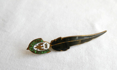 Distintivo alpini brigata - distintivo,