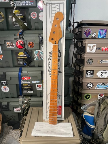 Fender roasted maple - fender, standard