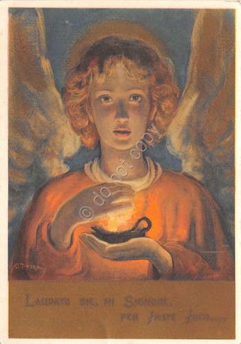 Cartolina postcard - cartolina,