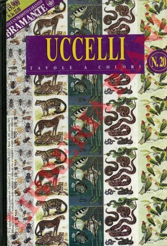 Ornitologia vita degli - -,