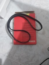 Cinghia Distribuzione Motore
