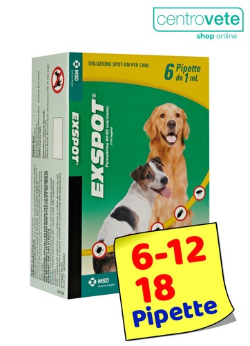 Exspot 12 18 - /,