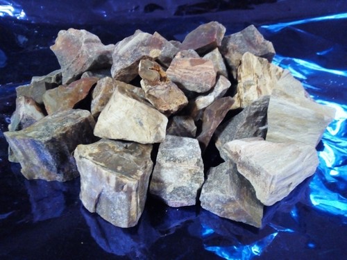 Legno fossile silicizzato - legno,