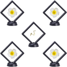 5 Pezzi Espositore a Telaio