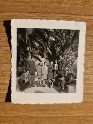 22819 fotografia gruppo - ,