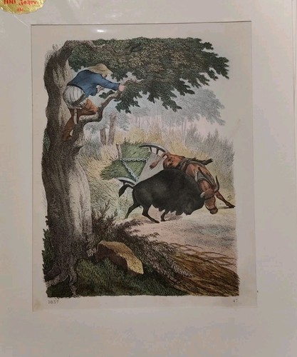 Caccia incisione acquarellata