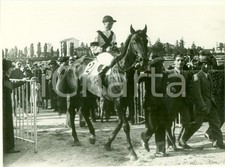 1936 MILANO IPPODROMO SAN SIRO Cavallo ELITE rientra al peso *Fotografia