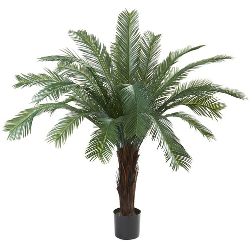 Cycas tree resistant - uv,
