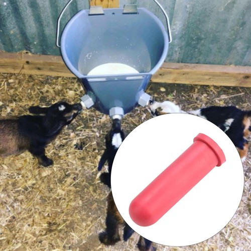 Ciuccio per mangiatoia per