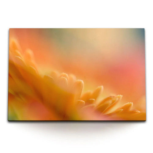 Quadro tela 120x80 fiore - tela, cm