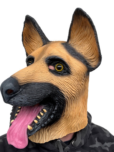 Pastore tedesco alsatian cane - alsatian,