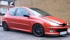 Adatto per Peugeot 206 Cup