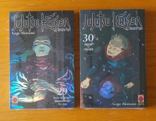 Jujutsu kaisen 30 instant - 29,