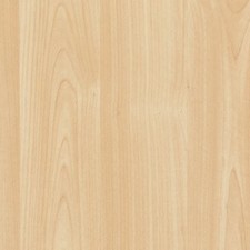 PLASTICA ADESIVA LEGNO OLMO