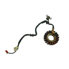 STATORE MAGNETE GENERATORE ALTERNATORE HONDA SH 300 2007 2008 2009 NF02E